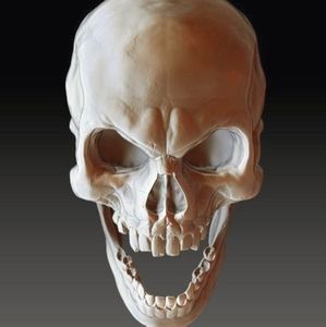 Meet your Posher, Zaezae